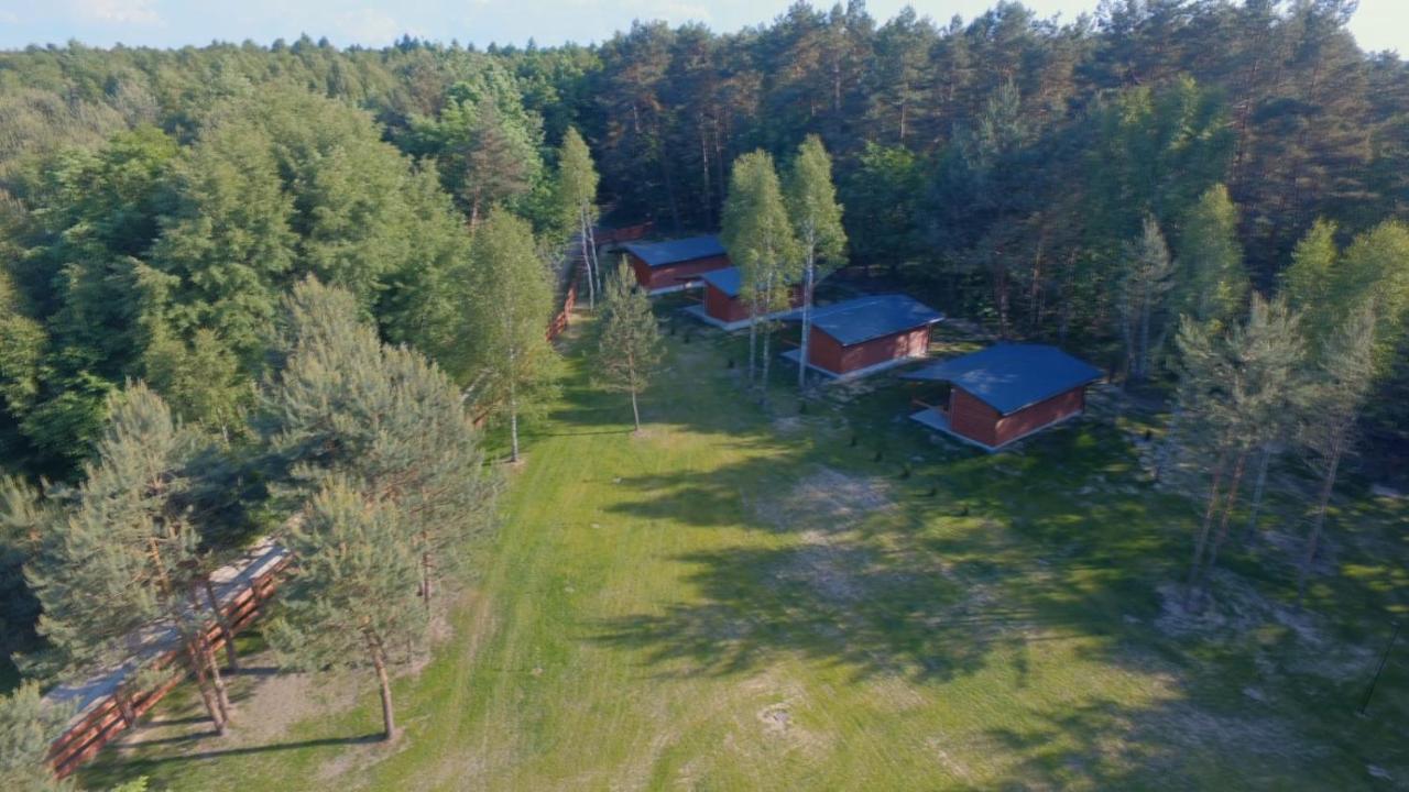 Domki Wrzosowe Wzgorza Nr2 Horyniec Bagian luar foto