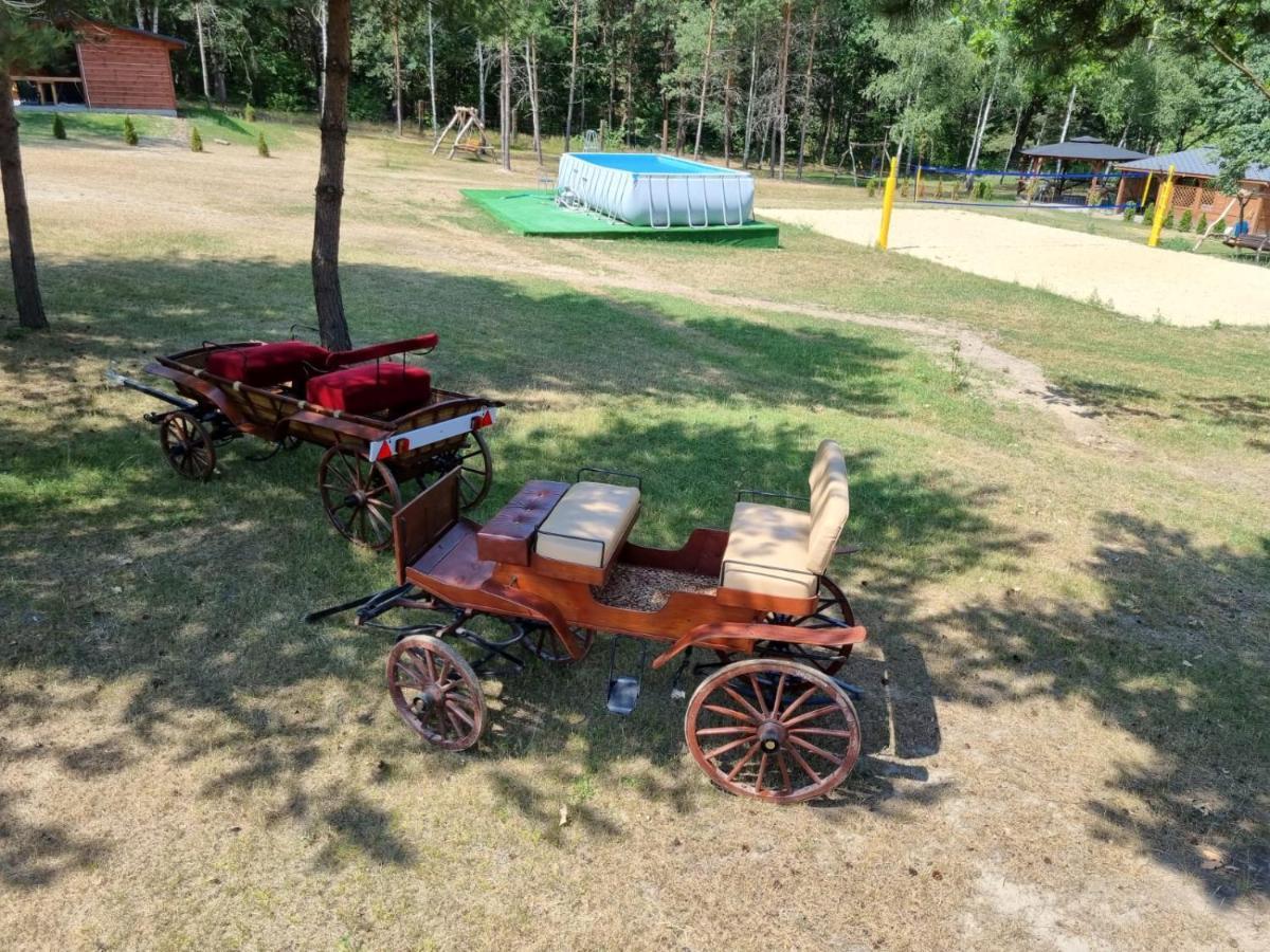 Domki Wrzosowe Wzgorza Nr2 Horyniec Bagian luar foto